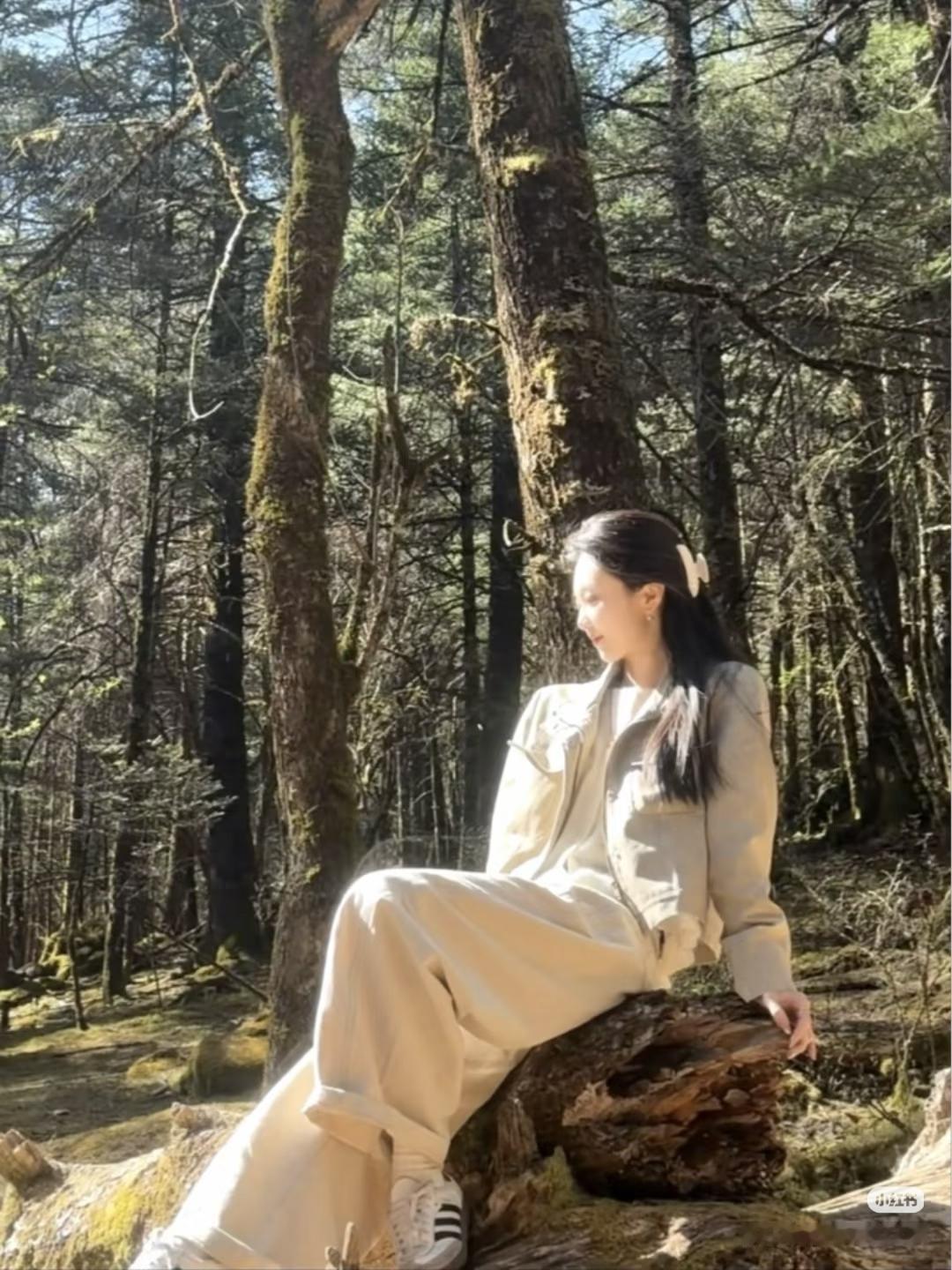 林间静坐，心随自然。