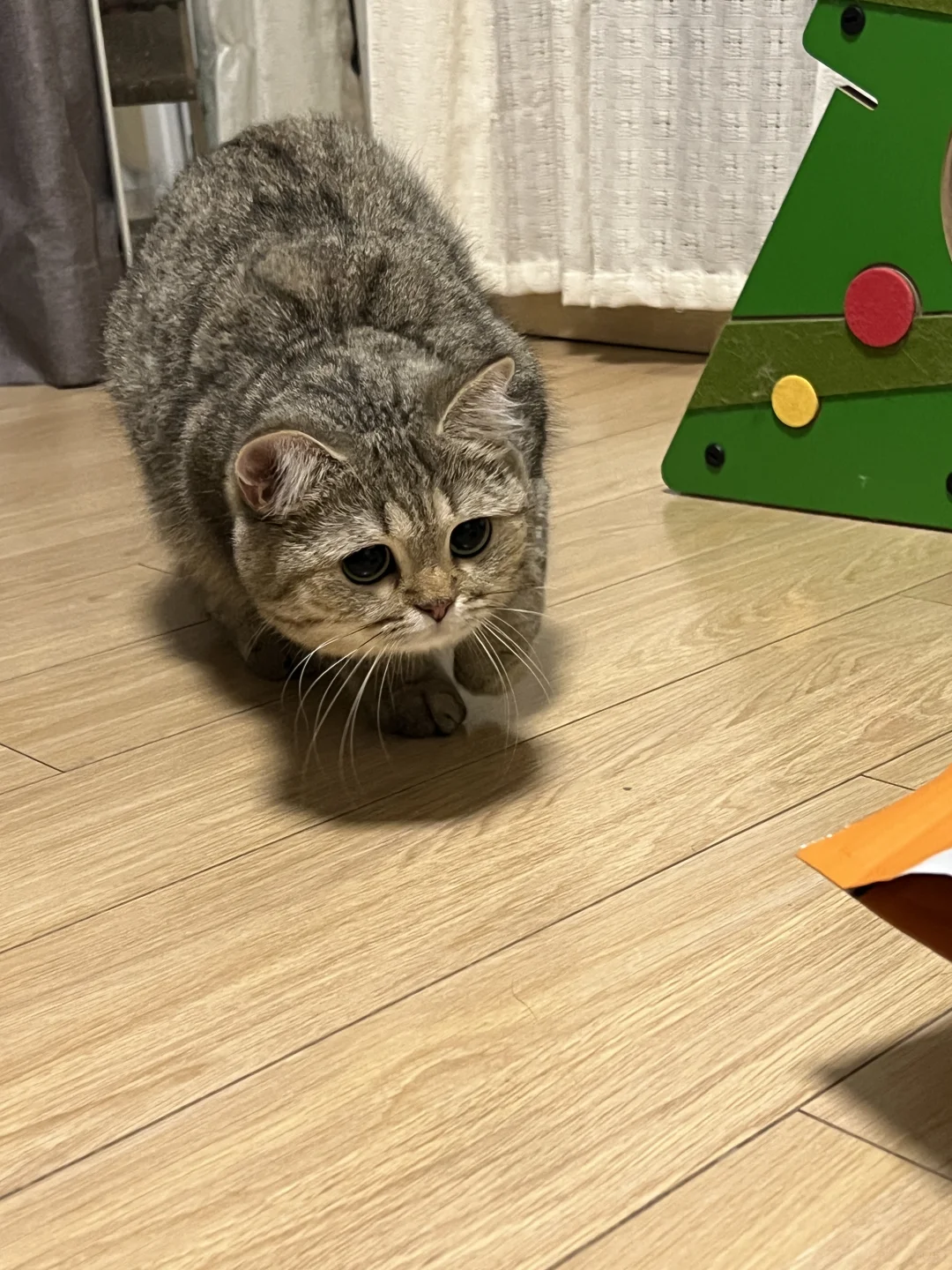 5分钟没给她喂饭就这样