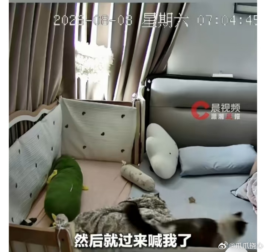婴儿快窒息时被小猫救下宝妈发声婴儿快窒息时被小猫救下宝妈发声一位宝妈公开分享了惊