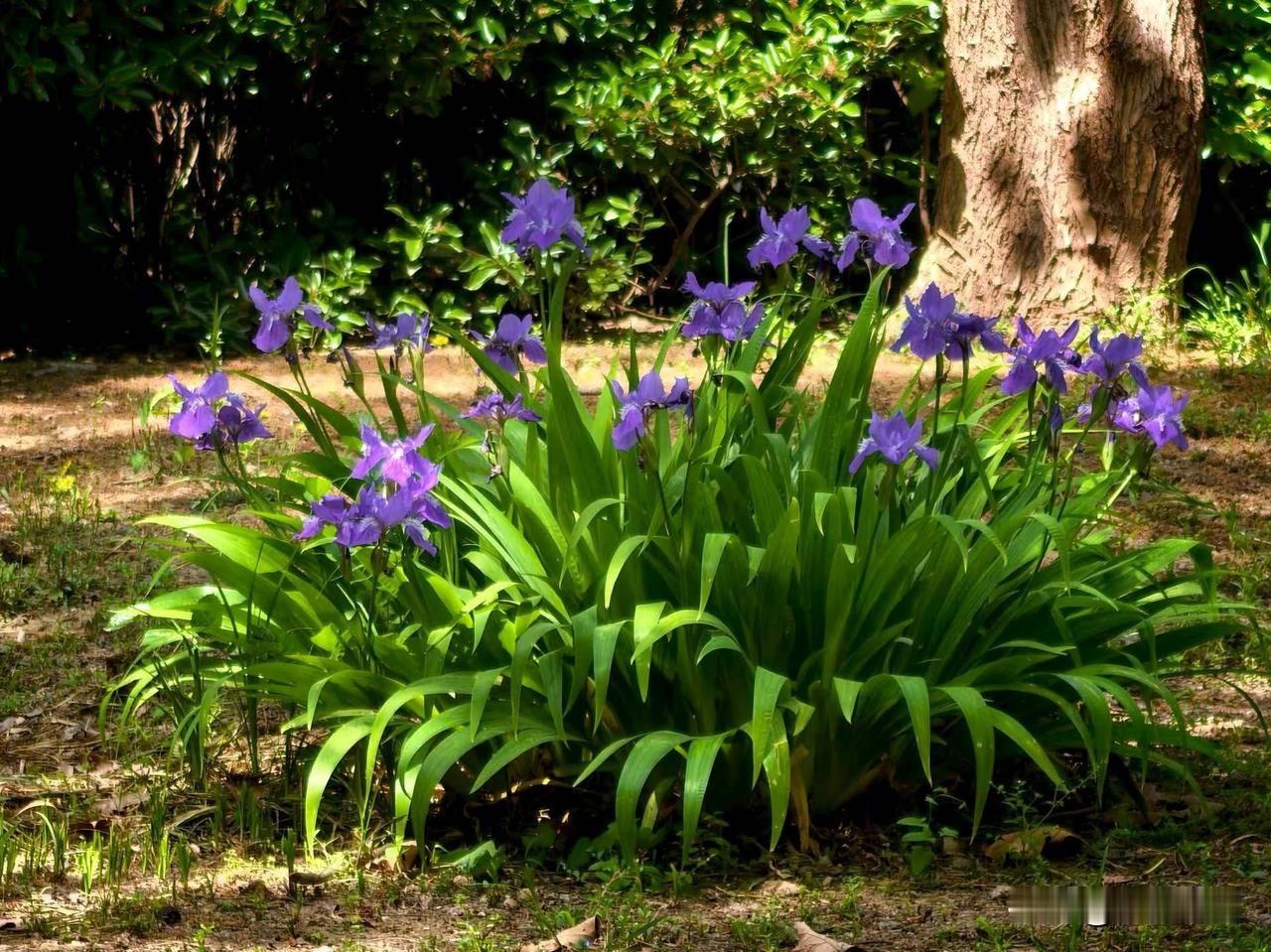 人来世间走一趟的意义是什么?
【小对联】
上：盛典；
下：……？