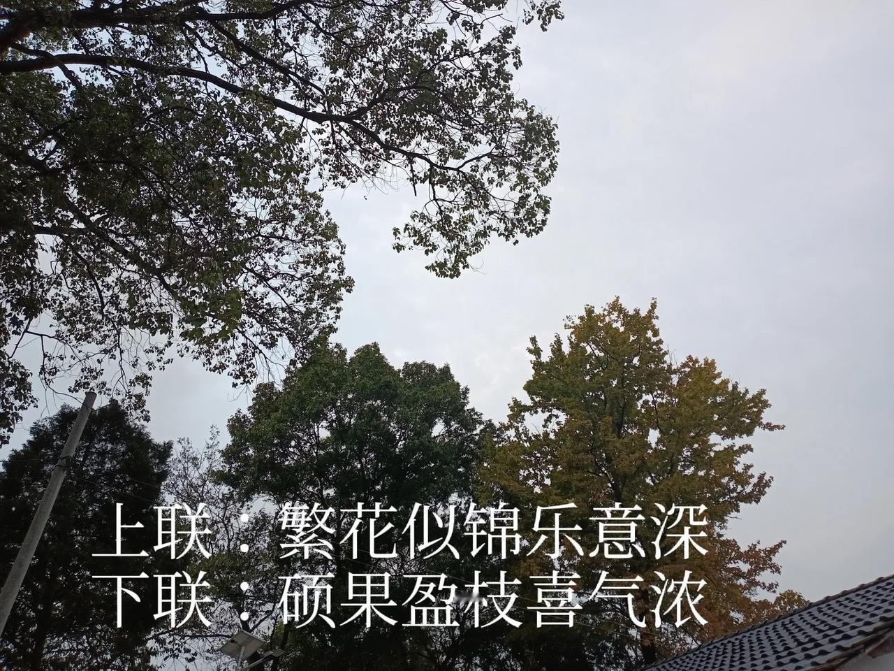 上联：繁花似锦乐意深，
下联：硕果盈枝喜气浓。
#下联：硕果盈枝喜气浓，诚邀上联