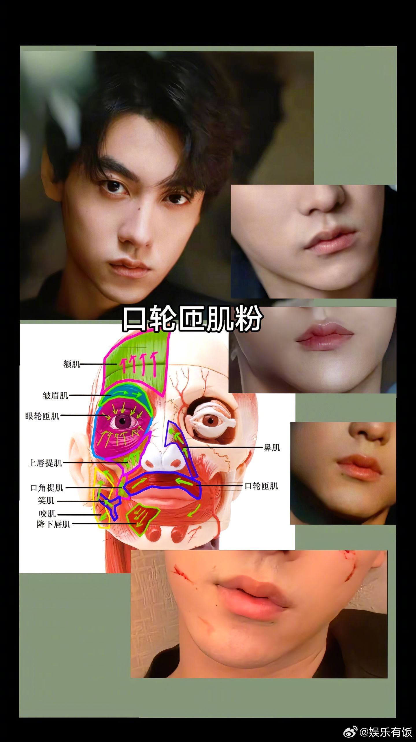 田栩宁没有法令纹的原因找到了 看到网友解析没有法令纹的原因，原来是因为田栩宁的口
