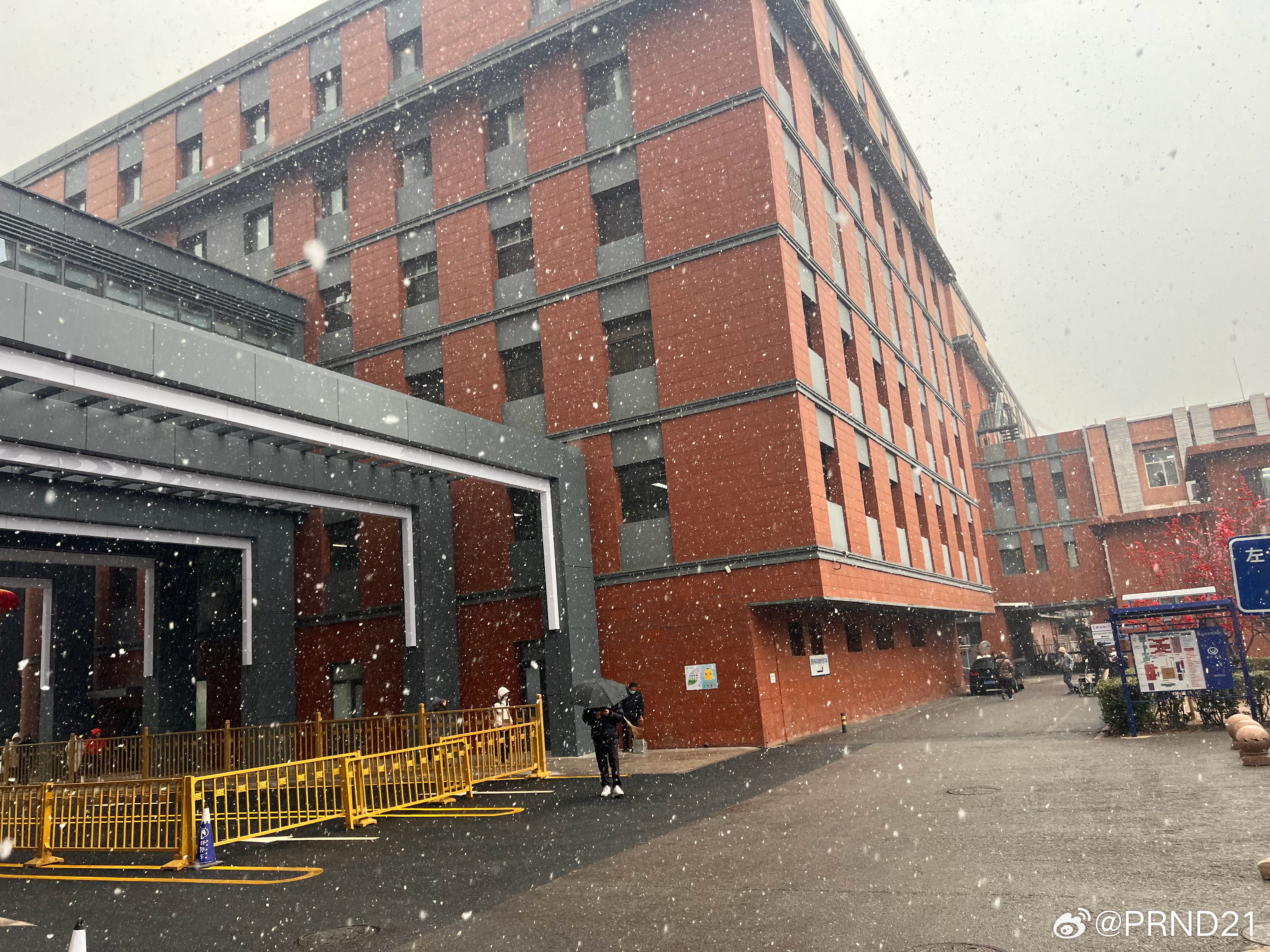 这雪有点儿意思 