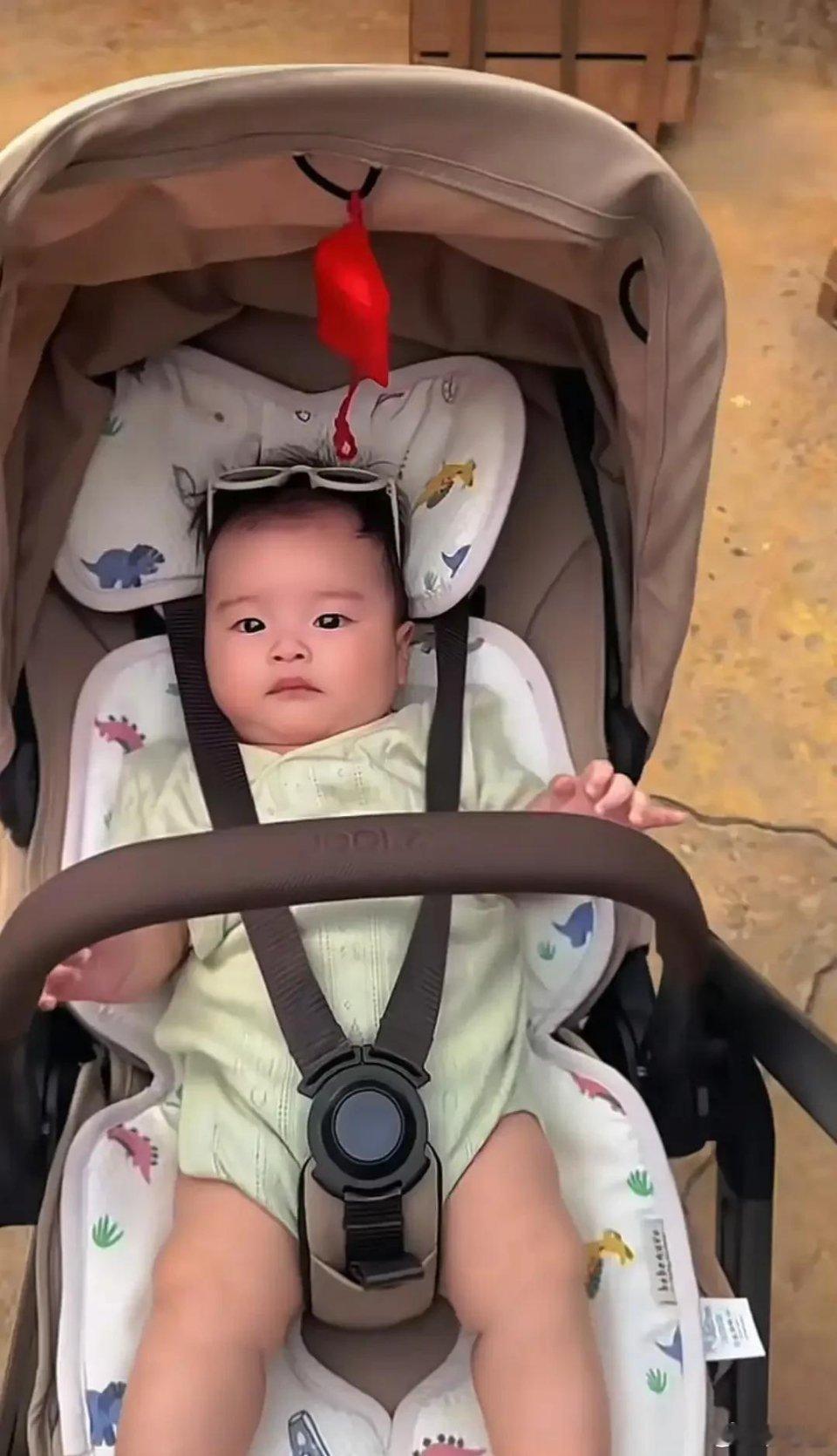 马筱梅晒儿子遛弯视频小小人类幼崽出门观光，不哭不闹乖乖看世界，独享母子二人独处时