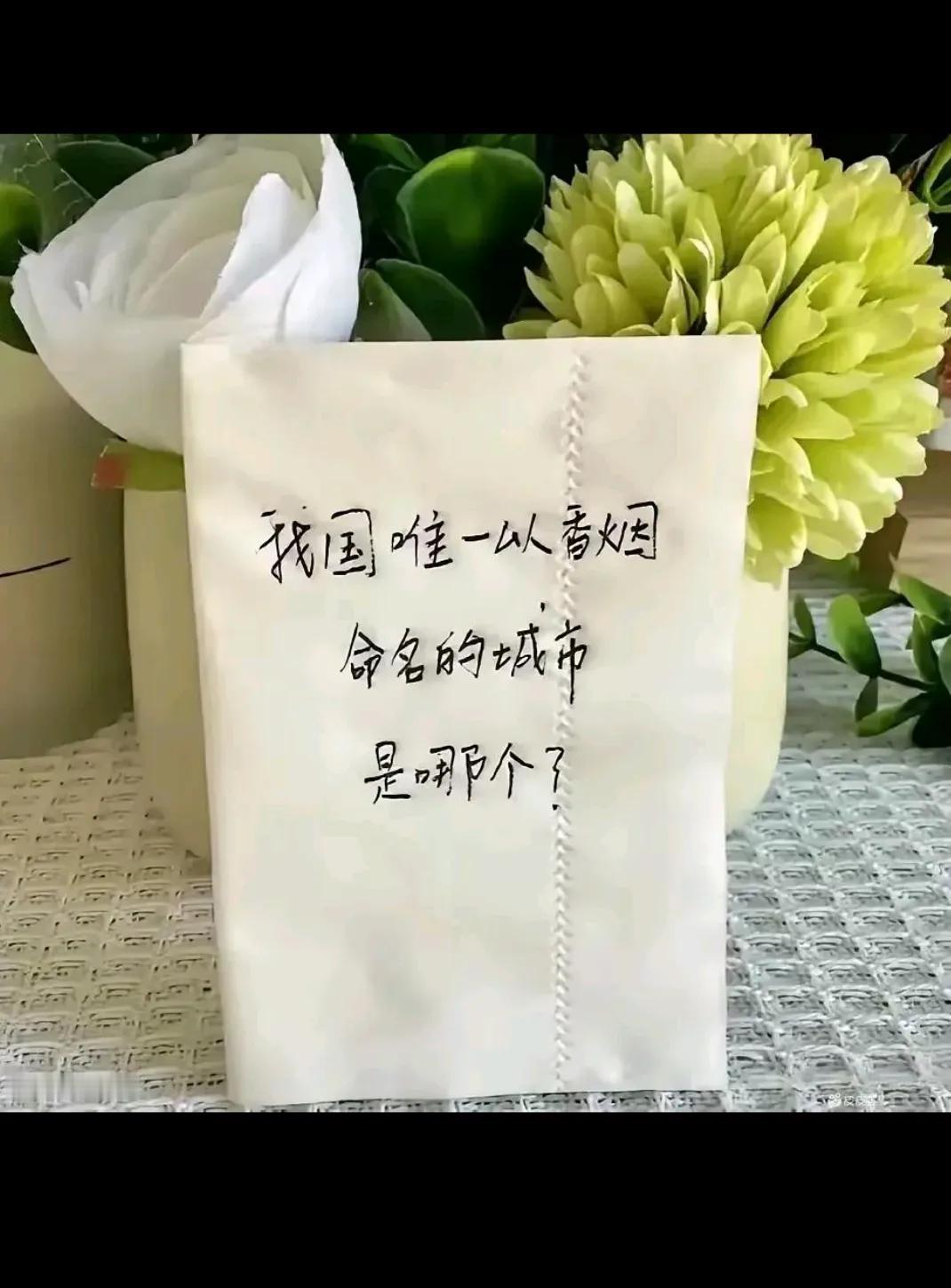 是哪个？？？？