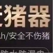 五条悟 周五了，爱逃课的牛蛙推马上又要来犯🗡️了，用电动赶猪器驱赶一下 