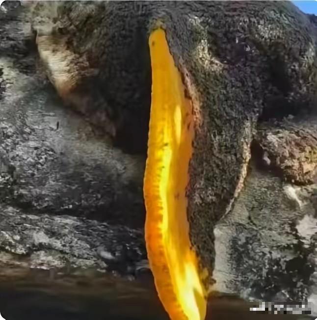 [太阳]江西，48岁王姓男子上山观赏风景摄影，在返程时感觉疲惫，打算休息一会儿。