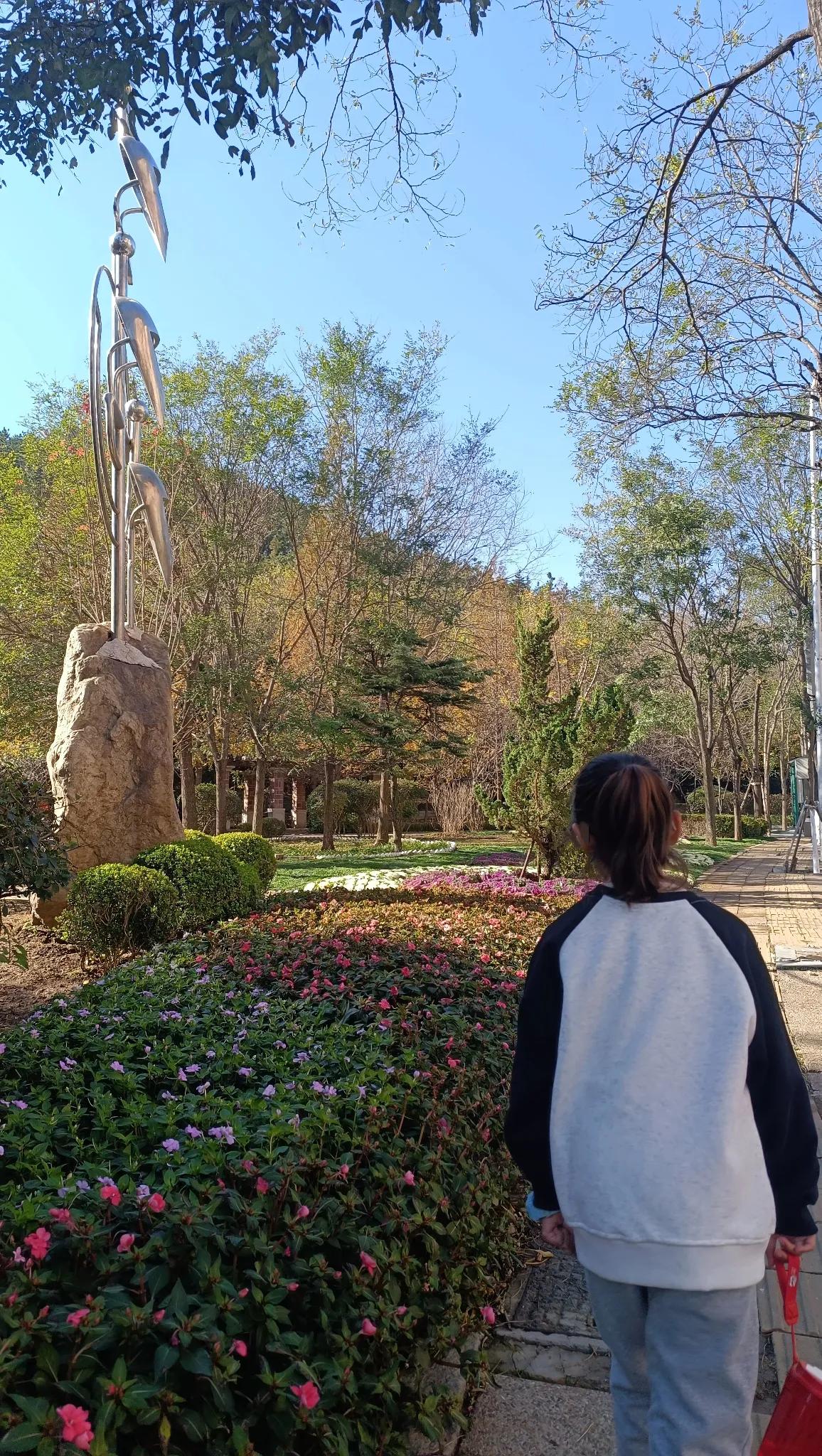 #秋日风景打卡# 
接上一条，再来一波美景[灵光一闪]

图2～4：植物园。不知