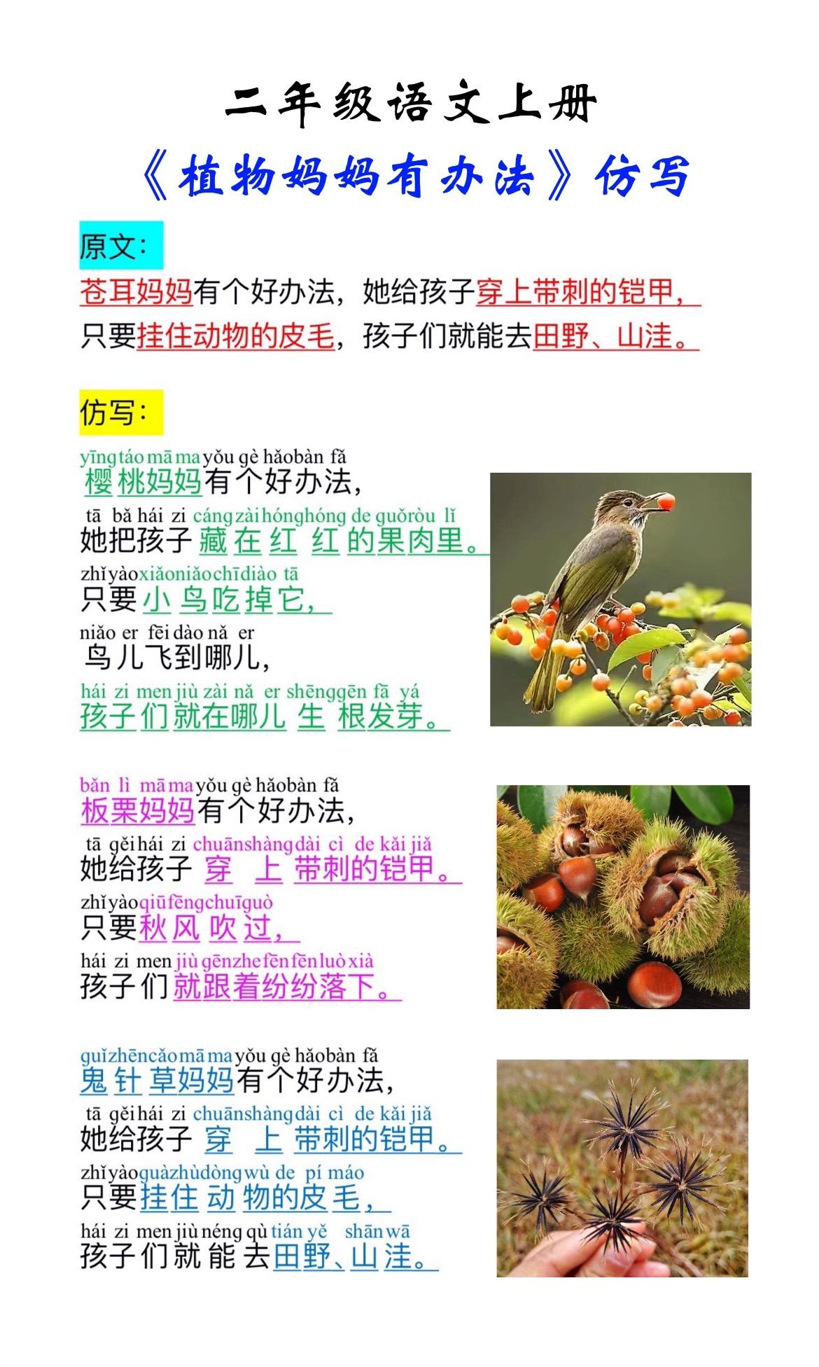 二上《植物妈妈有办法》段落仿写。①蒲公英靠风力传播种子②苍耳靠动物传播...