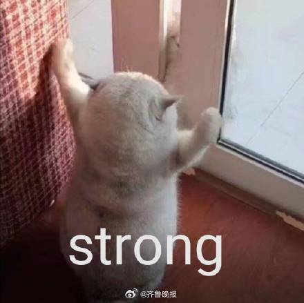 #早安# 生活从未变得轻松，是你在一点一点变强大。 ​​​