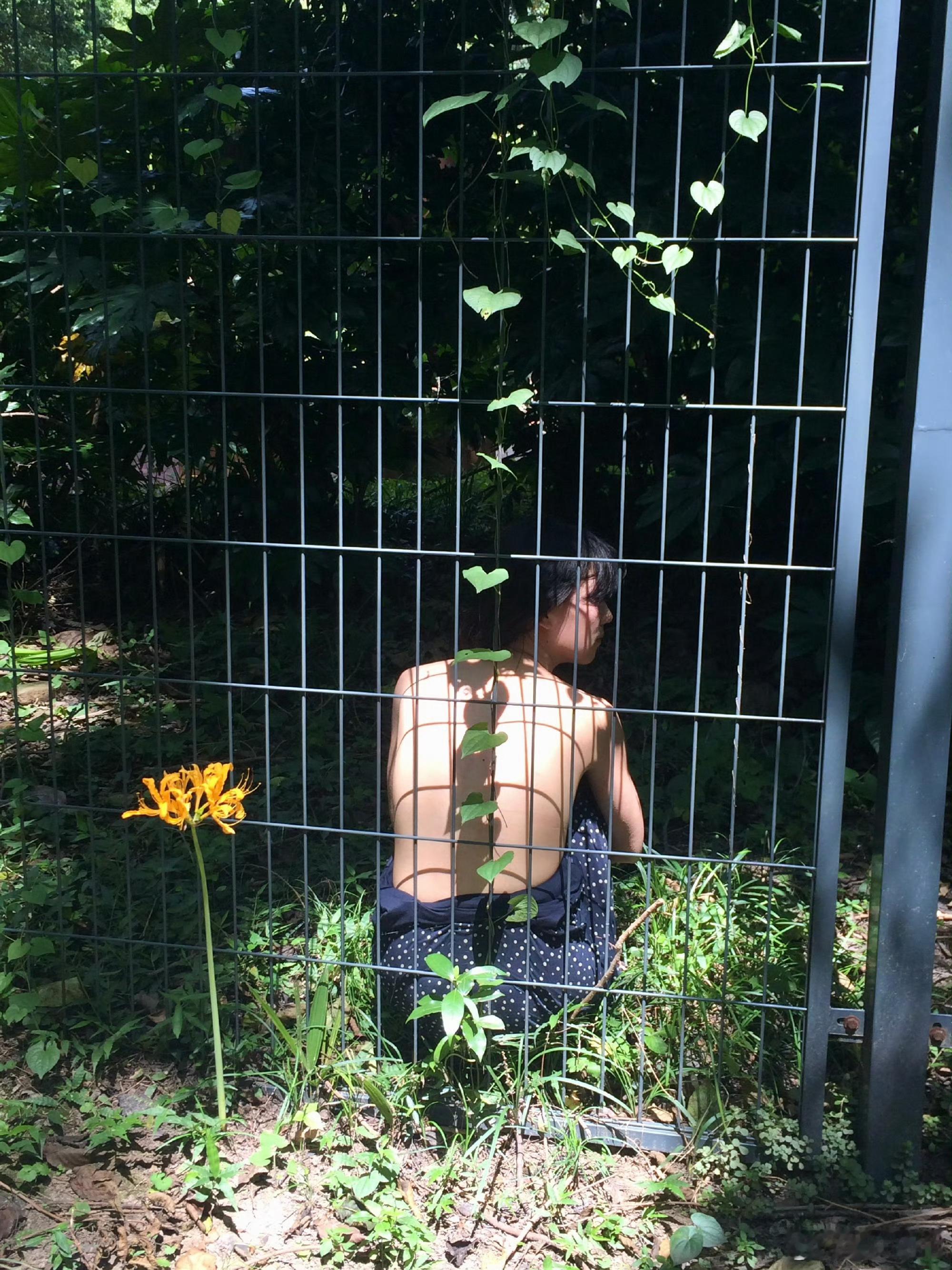 植物性的人。 ​​​摄影：​​​