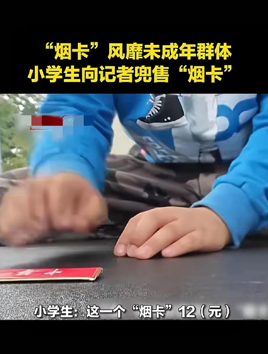 图中的孩子向记者兜售烟卡，不同品牌的价格不一样，“中华”烟卡要12块钱一个。
说