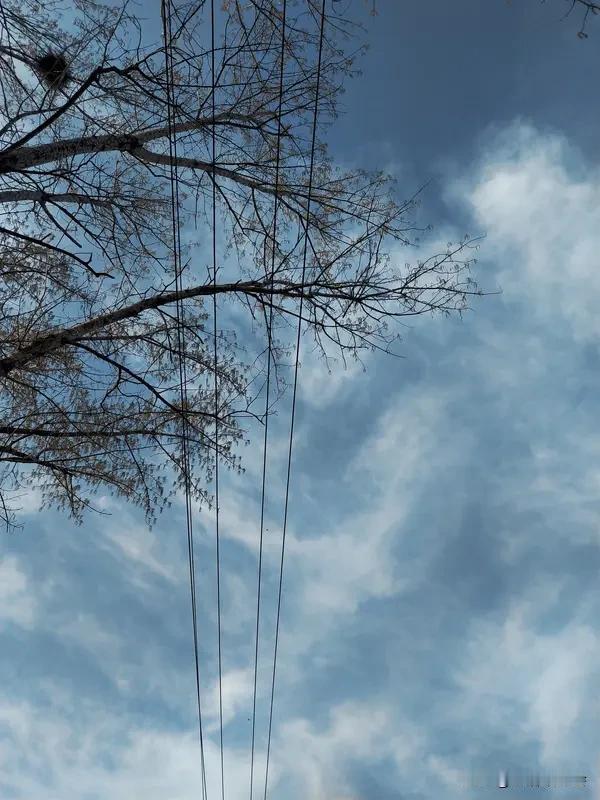 你问我答 你问我答这形式还挺有意思，就像打开了知识盲盒。之前我在网上看到有人问：