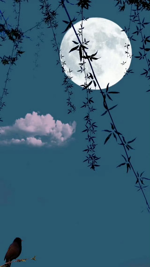 “古代的社会地位。”卖艺不卖身叫:妓 卖身不卖艺叫: 娼 没房没地的叫: 流 无