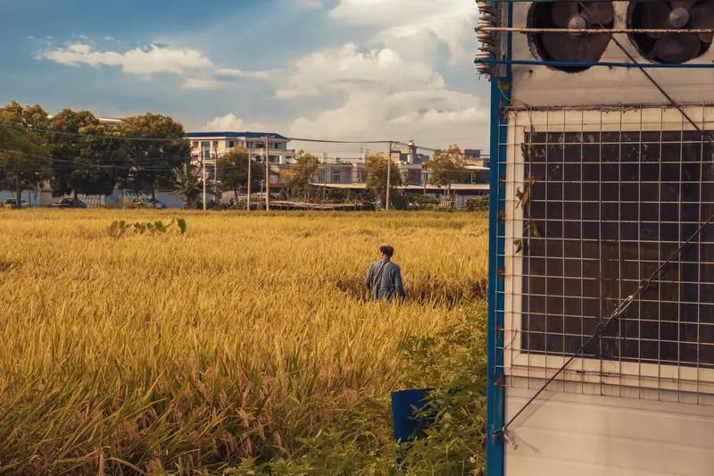 实现自身价值，无疑是人生的重要大事。正如袁隆平爷爷，他将一生奉献给杂交水稻事业，