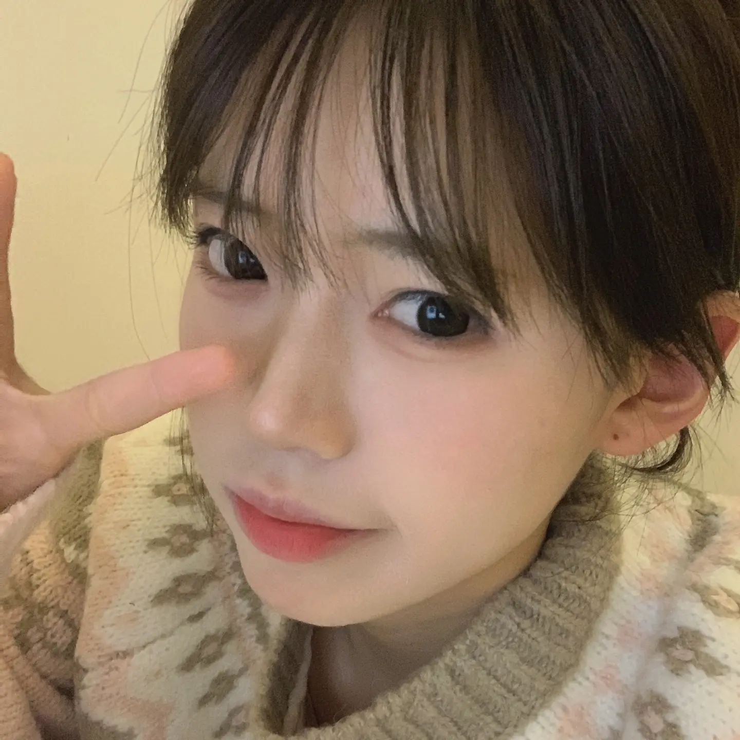 日菜子 Merry Christmas