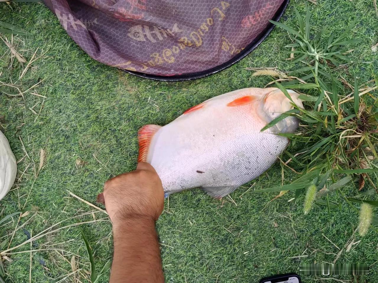 ​发现没？一个扎心的现实:少年无理想，青年陷迷茫，中年很绝望，老年人有点忙。​