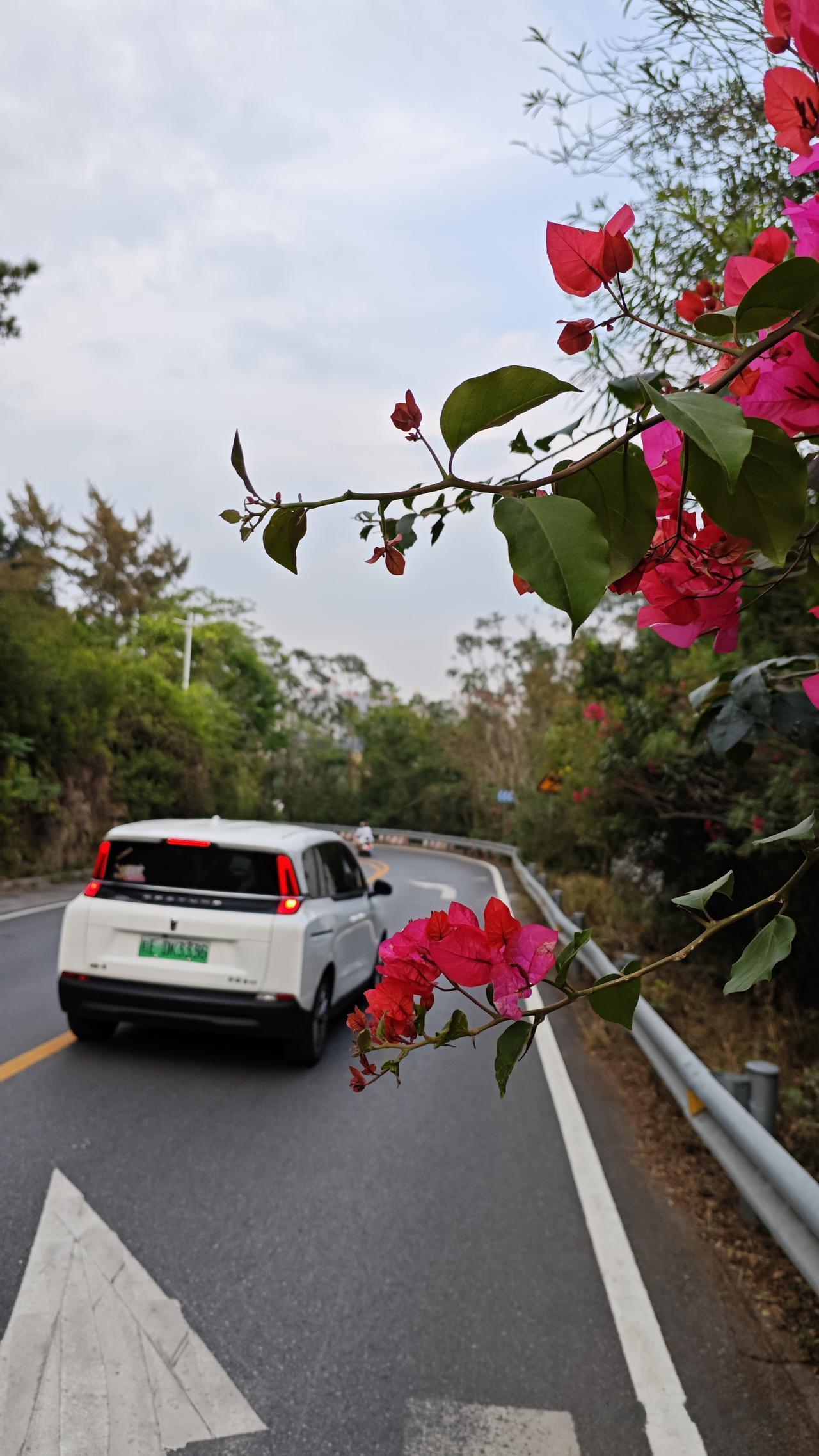 车轮转过山径，红花探头——是海在催我；水镜无痕，装下整片天与云，我站成“静默”，