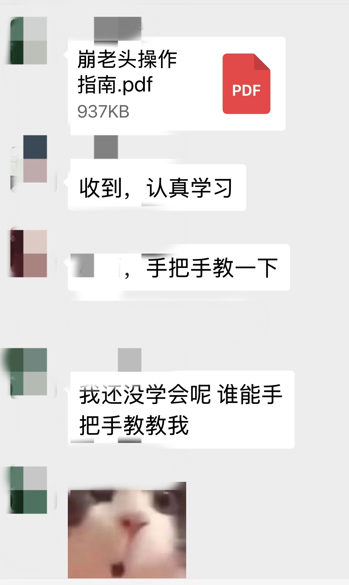 前些天才听说这个词后来偶然还知道竟然有崩老头技术指南看来哪一行都有规律有技术啊崩