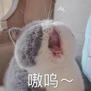 有音乐节啊 ​​​