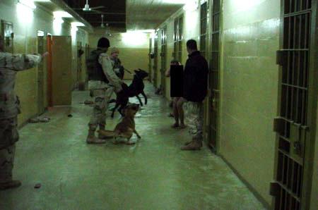 2003年，美军宪兵用铁锁束缚伊拉克平民囚徒，见囚徒窒息挣扎哀嚎，美军下士一脸变