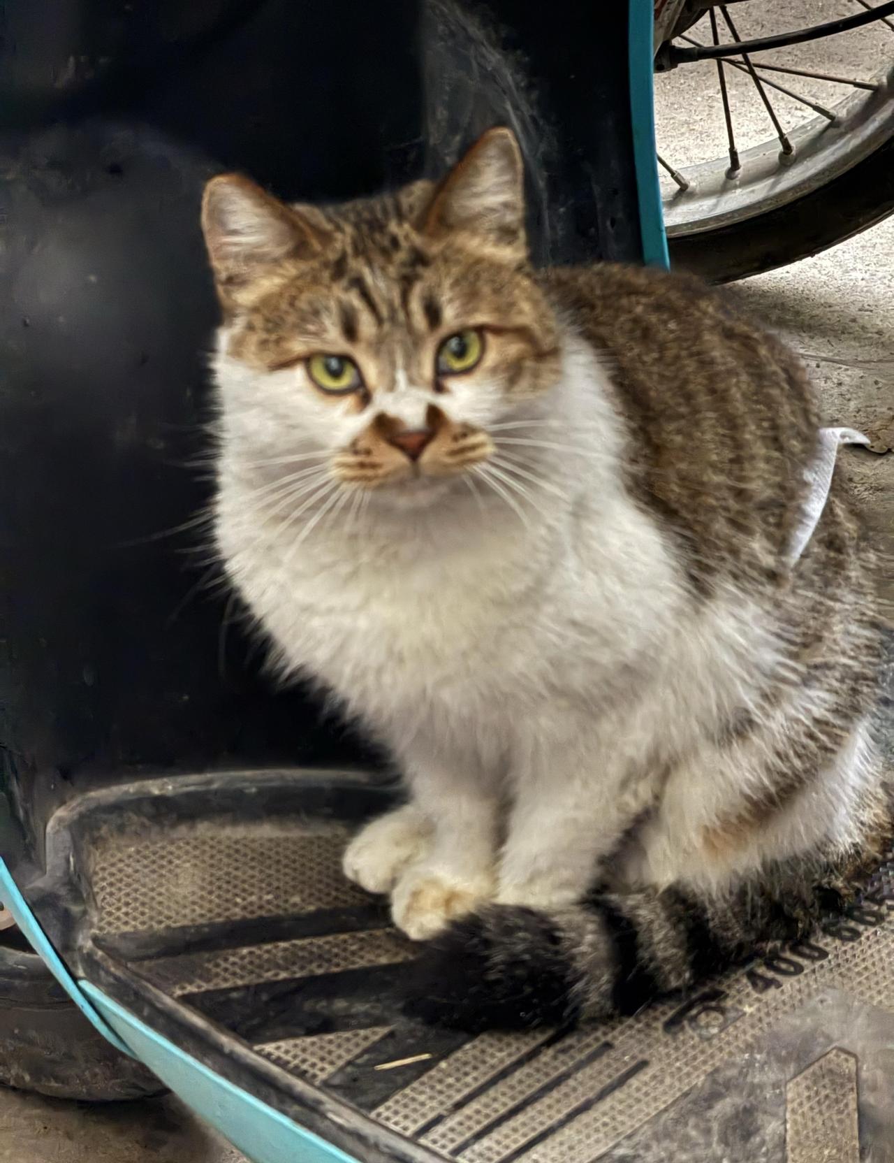 老哥们求教
邀请女生看电影，她说到时候看吧，不一定有时间，能追到吗？