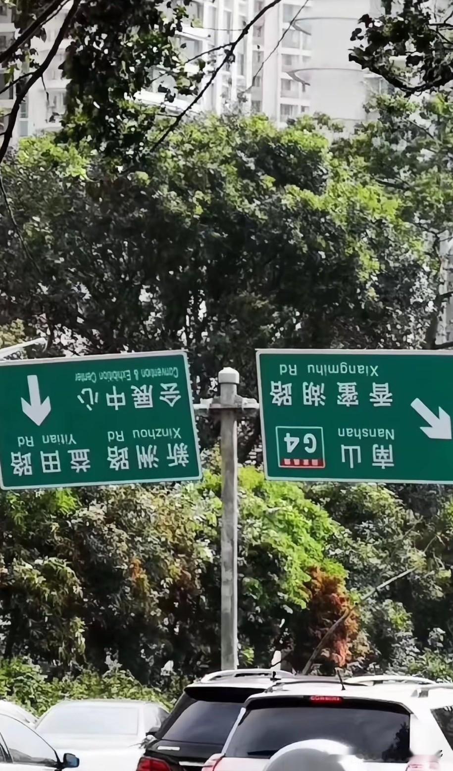 还记得2018年的台风山竹吗？哪一年，台风山竹在台山这边登陆，强劲的风力不仅在台