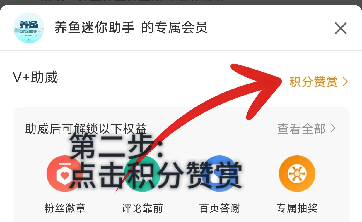 余宇涵🦈畅所余言 🦈余宇涵 两载初心如故 前路万顷星光           