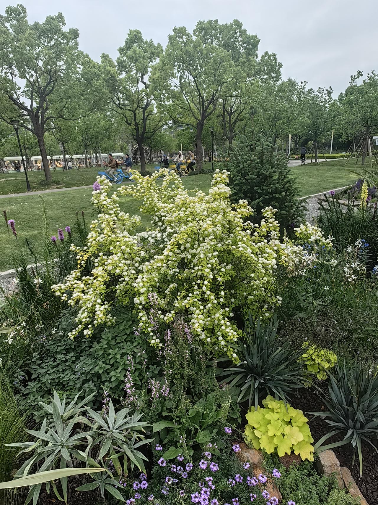 我觉得这个观点挺有意思的。昆山要是划归上海，说不定真能更发达。上海作为国际化大都