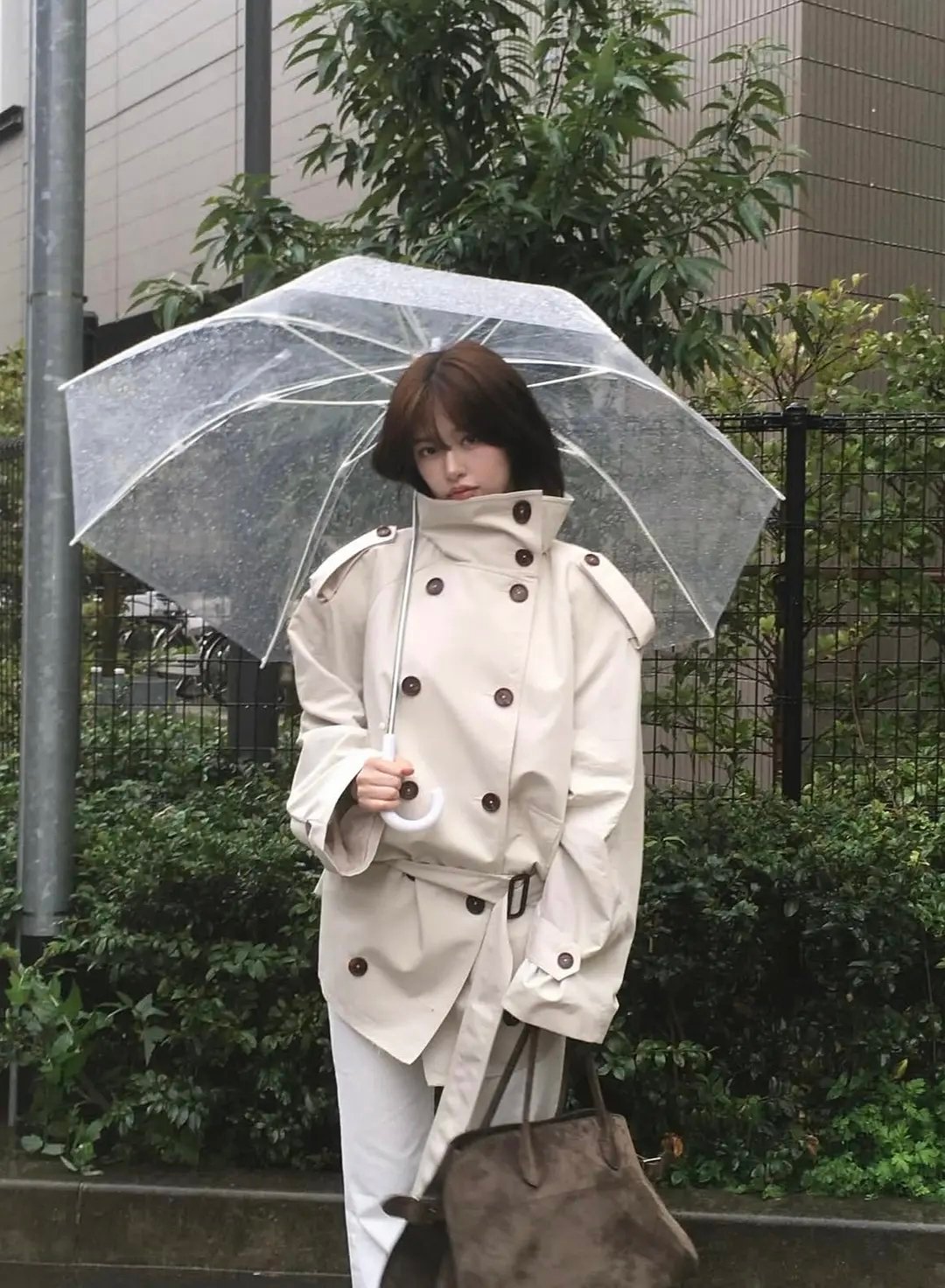 此🐶终于会拍照了 