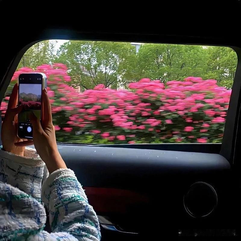 如何判断十二星座好不好追：

【双子，射手，水瓶】
不喜欢你的不好追。
喜欢你的