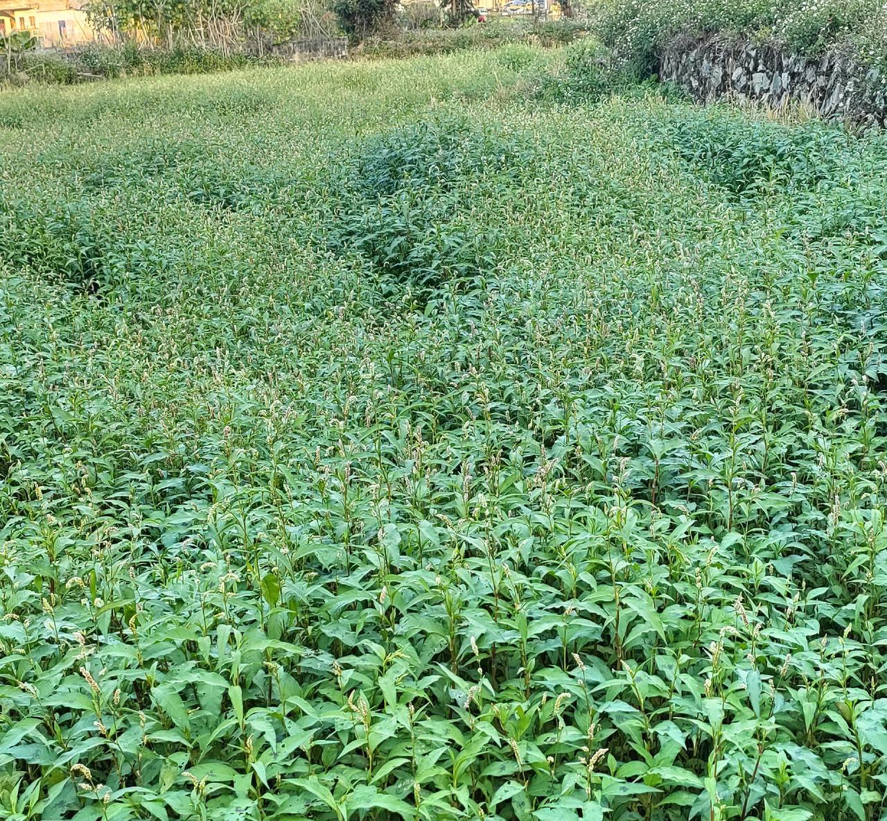 父母再光鲜，孩子不争气，一切归零：揭示最令人唏嘘的家庭真相
 
浙江温州的陈老板