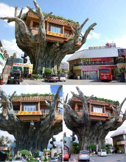 【榕树上的饭店】这是建在一颗古老榕树上的特色创意饭店，有没有跃跃欲试的冲动。 