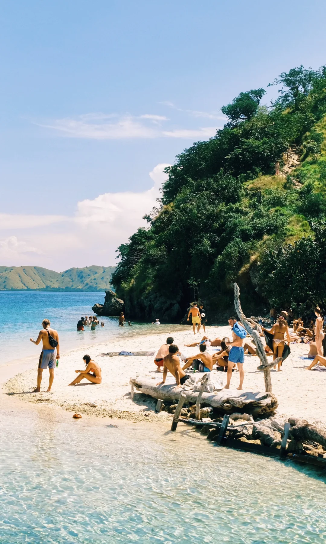 “𝓢𝓾𝓶𝓶𝓮𝓻 𝓕𝓲𝓵𝓶”