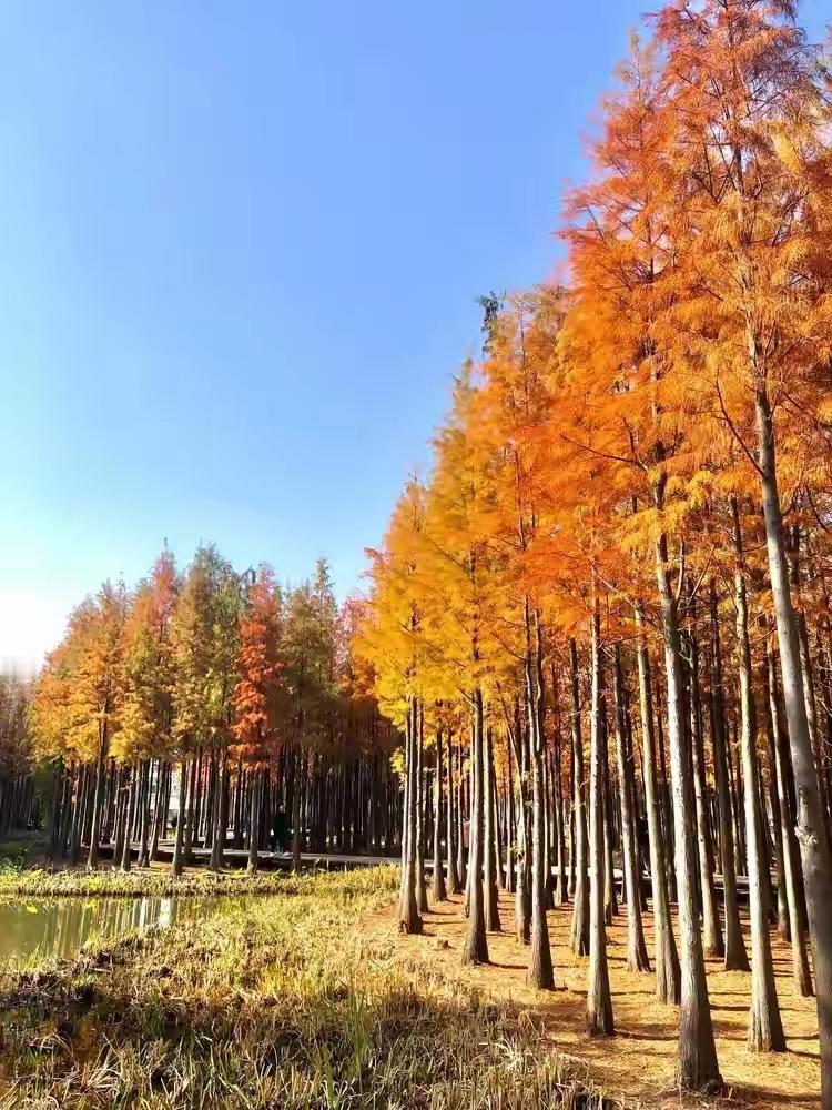 战胜恐惧的方法：1.学会正确认识恐惧。很多时候，害怕是因为你没有正确认识恐惧，我