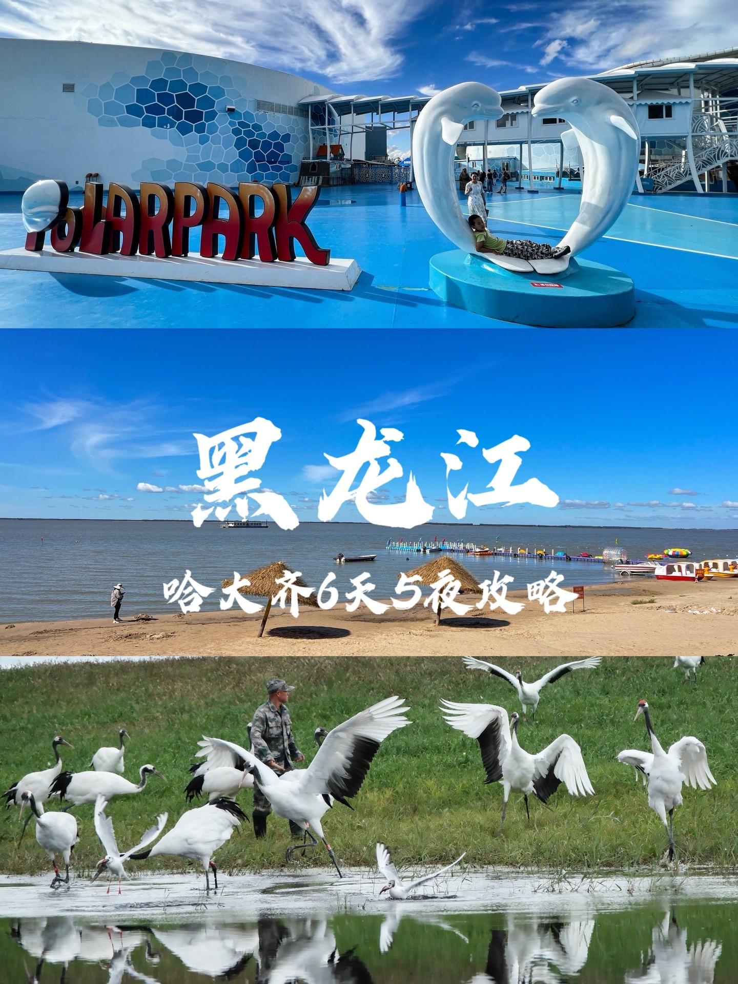 哈尔滨上大分了！干脆直接来黑龙江避暑。去黑龙江旅行，给大家推荐哈尔滨...