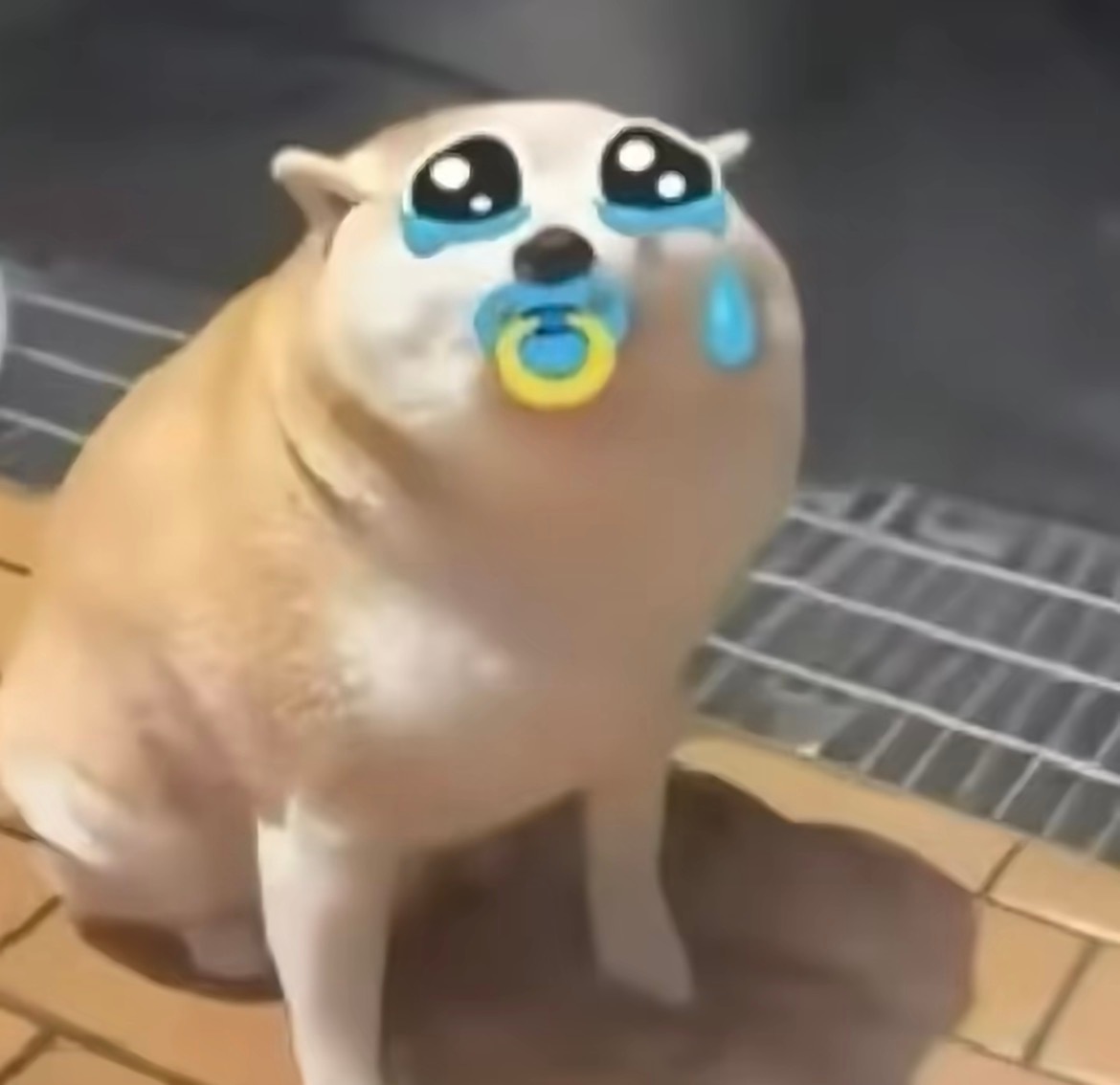 没找你的我： 