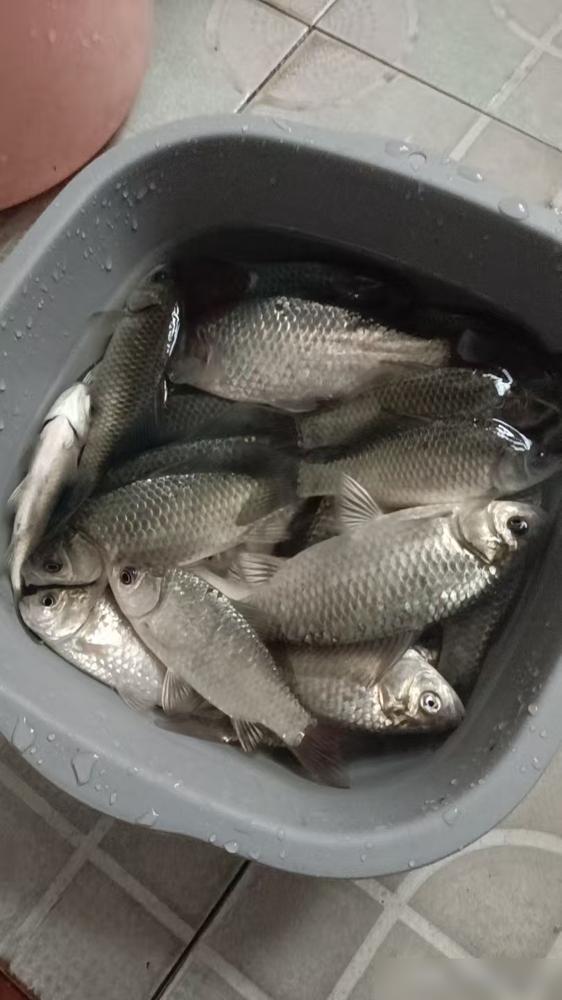 3000万粉丝钓王，5小时钓0.6斤，倒数第一。
全明星赛上，邓刚坐着，背后是