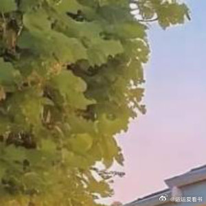 晚安[超话]在这宁静的夜晚，寄上我温馨的祝福，带去我深深的思念，愿我的一声祝福洗