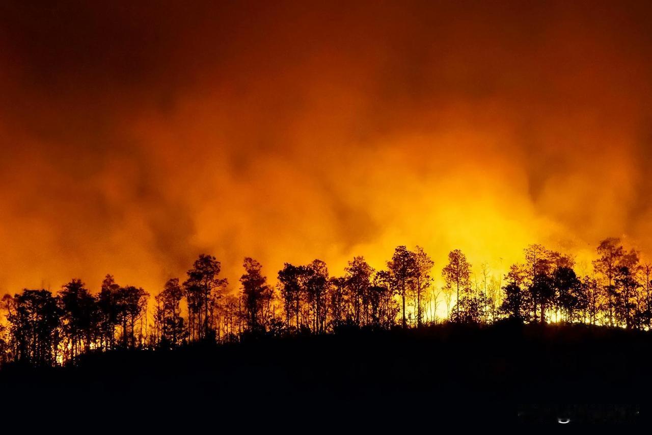 【亚马逊变成“大烟囱”？别被卫星地图骗了，那都是“僵尸森林”】

咱们印象里，亚