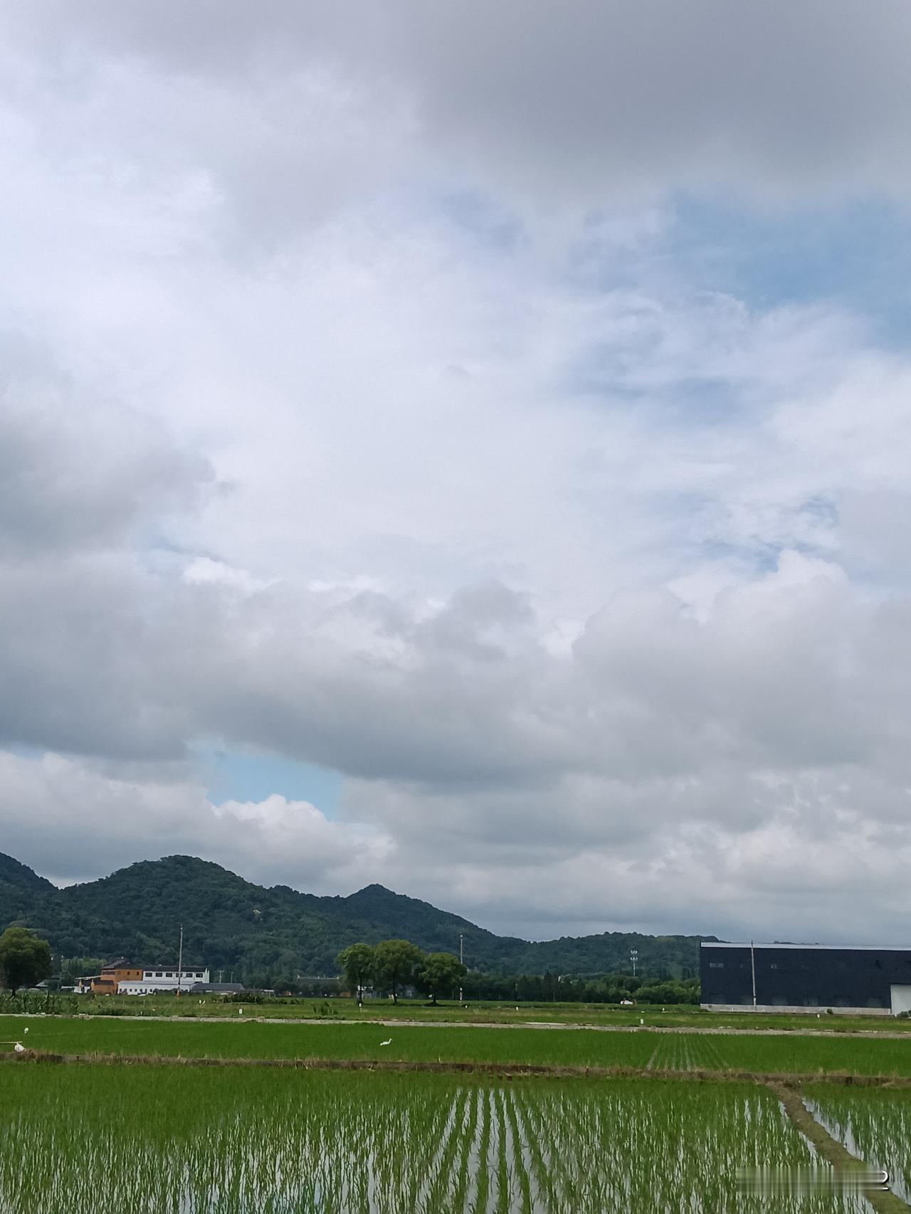 不过本届比赛，随着淘汰赛的开始，一条清晰的脉络显现出来。相比以前的24支队伍，扩