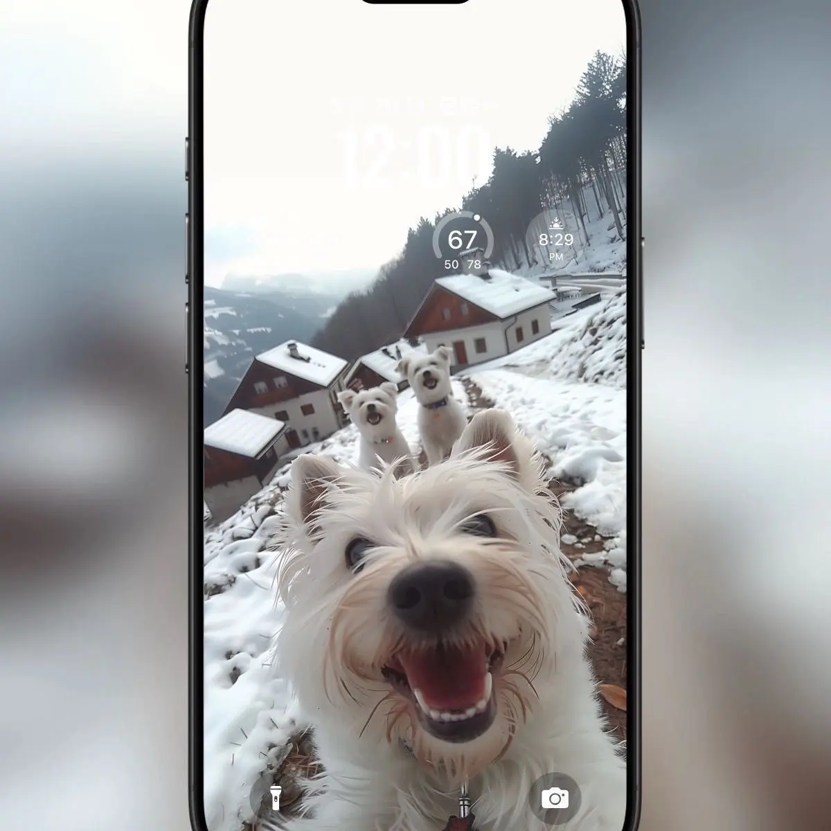 动物 壁纸 宠物 萌宠vlog 狗