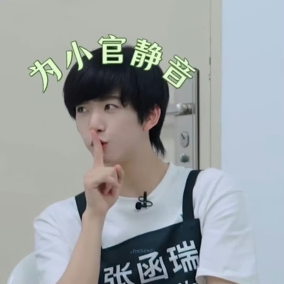 为张函瑞静音 