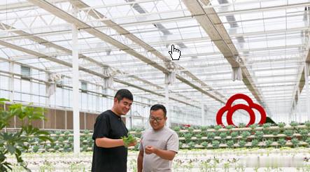 中国的这个“菜园子”实力藏不住了中国的这个“菜园子”实力藏不住了南,一个低调但实