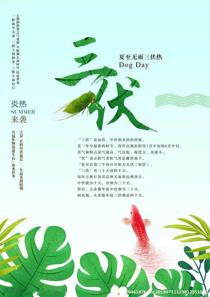 为什么热在三伏？入伏之后，迎面的风都裹着热浪，连树影都晒得发蔫，老话说“热在三伏