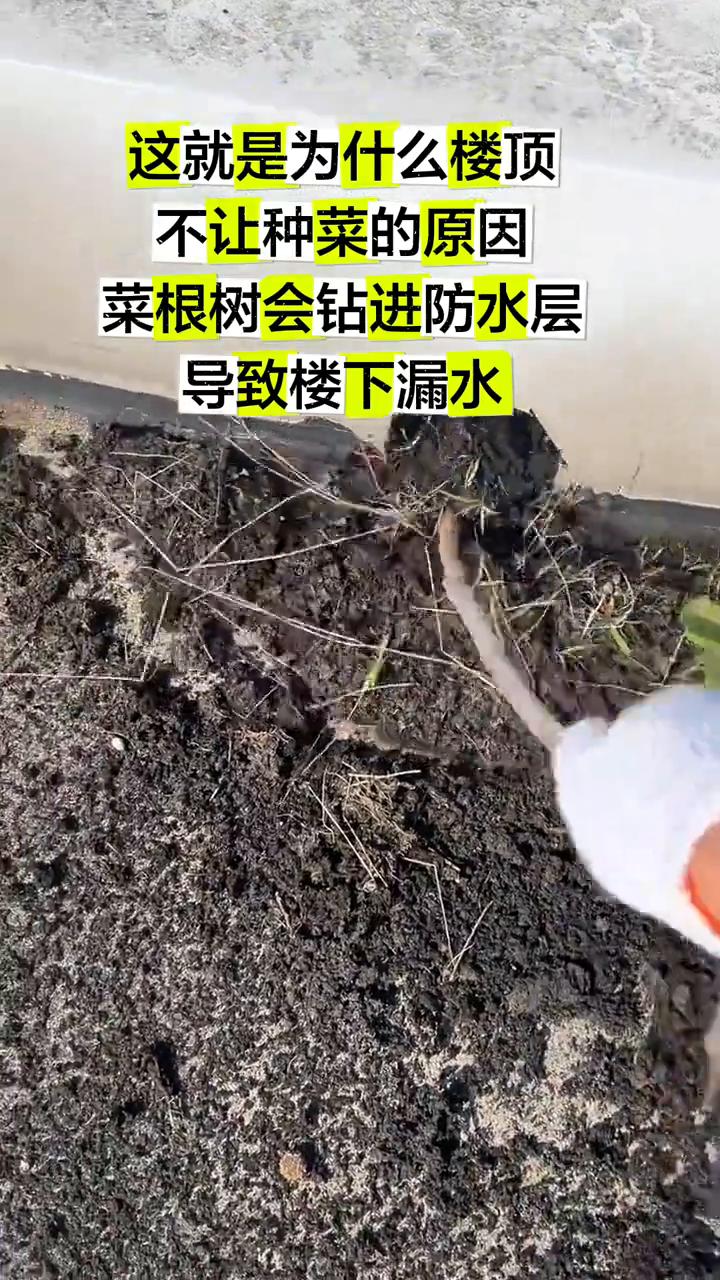 耶，你看。