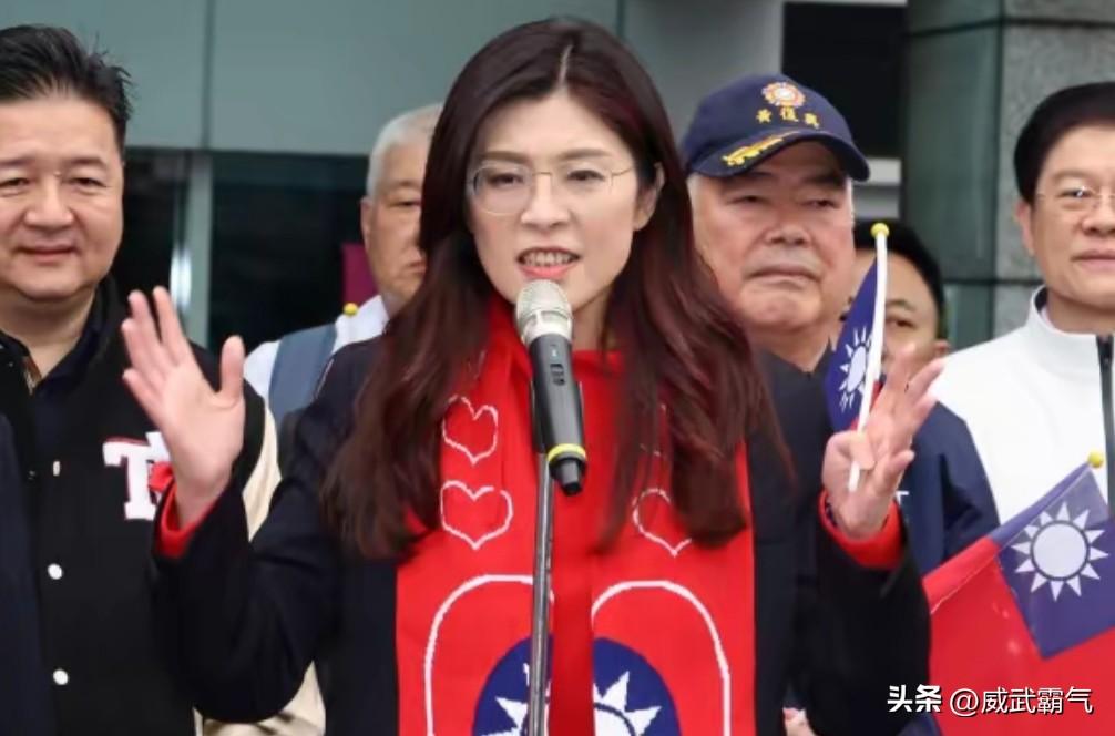 北京这次干脆利落地出了手。郑丽文刚在岛内被围攻，大陆反手就拉了她一把，直接把访问