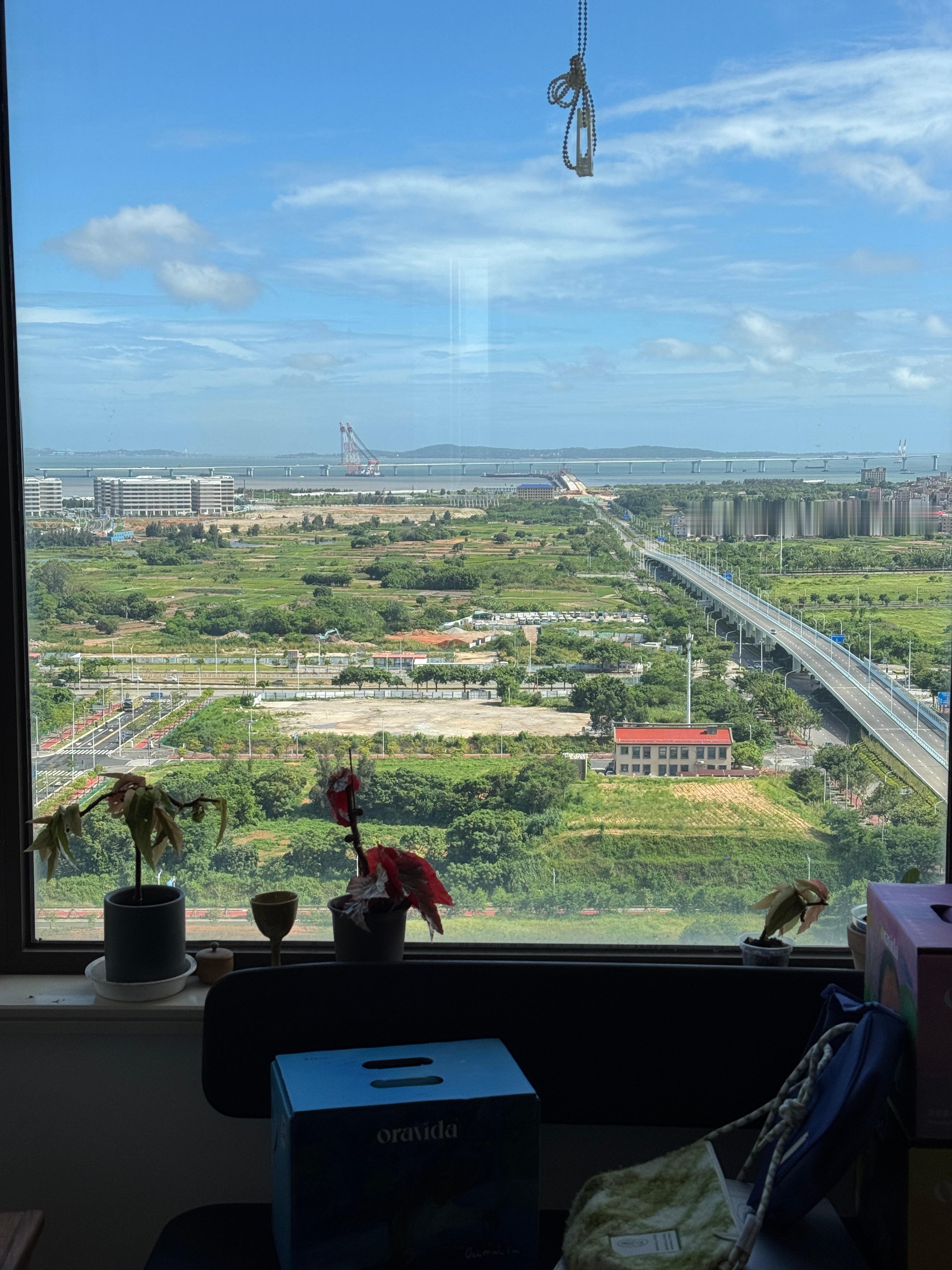 💙深蓝还是🩵浅蓝呢 