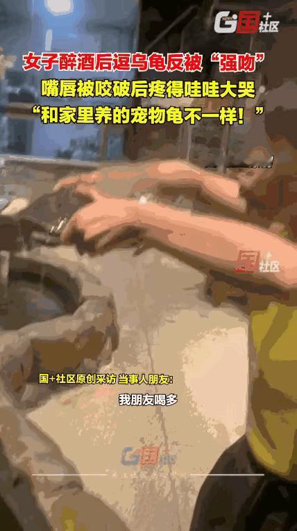 丢人丢大了！重庆，一女子饭店吃饭喝多了，去大厅透气，竟然看上了水池里的甲鱼，直接