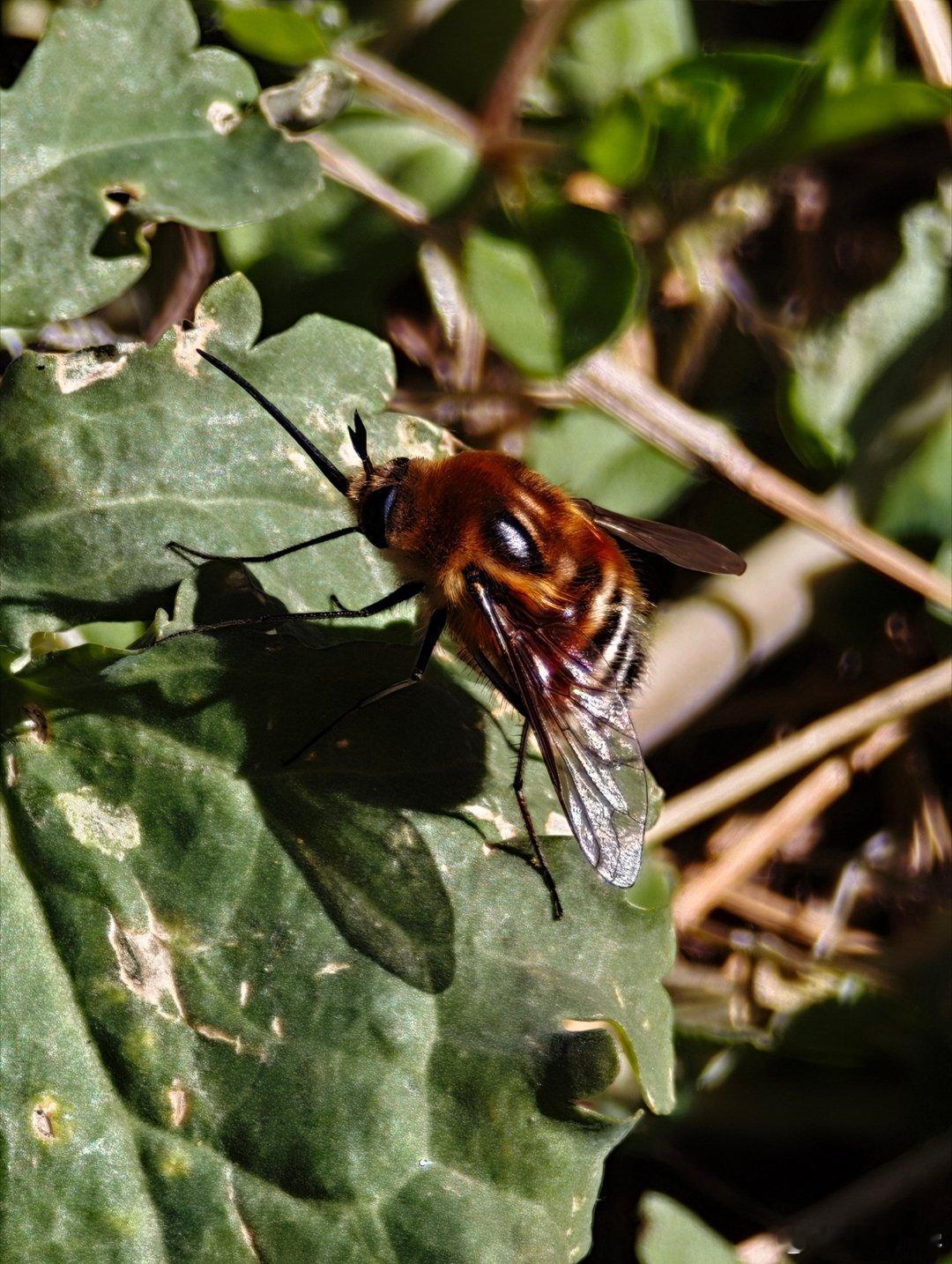 这些图片居然都是AI的  这三张图有没有AI生成的？？如果有，是哪张？ 